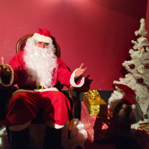 arbres de Noël au Kastelet